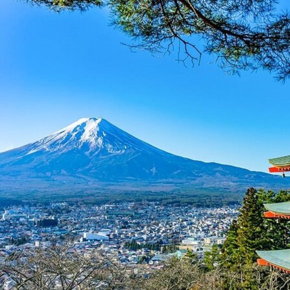 Meet your Posher, Alex - Picture 1 of 1